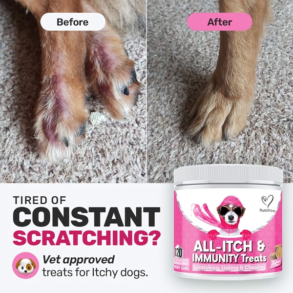 A square ad creative featuring a direct visual comparison of a dog's irritated skin before and after using allergy relief treats.